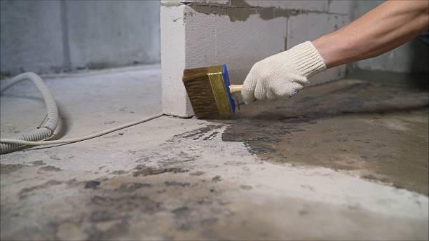 SJ Waterproofing Pros Waterproofing coverage map for Bethel, NC and surrounding area